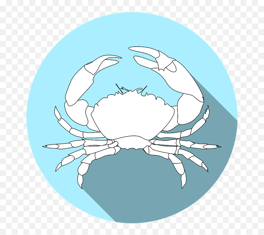 Crustacean Allergy Crab - Free Vector Graphic On Pixabay British Union Of Fascists Flag Png,Blue Crab Png