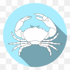 Crustacean Allergy Crab - Free Vector Graphic On Pixabay British Union Of Fascists Flag Png,Blue Crab Png