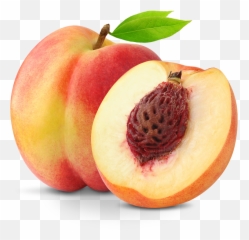 Download Peach Slice Png Transparent - uokplrs Melocoton Fruta