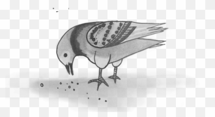 Experience U2014 Try - Vaux S Swift Png,Pidgey Png
