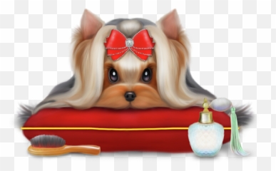 Yorkie Beauty T - Shirt Dog Supply Png,Yorkie Png