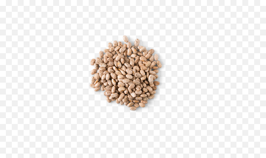 Chipotle - Pinto Beans Pinto Beans From Chipotle Png,Bean Transparent