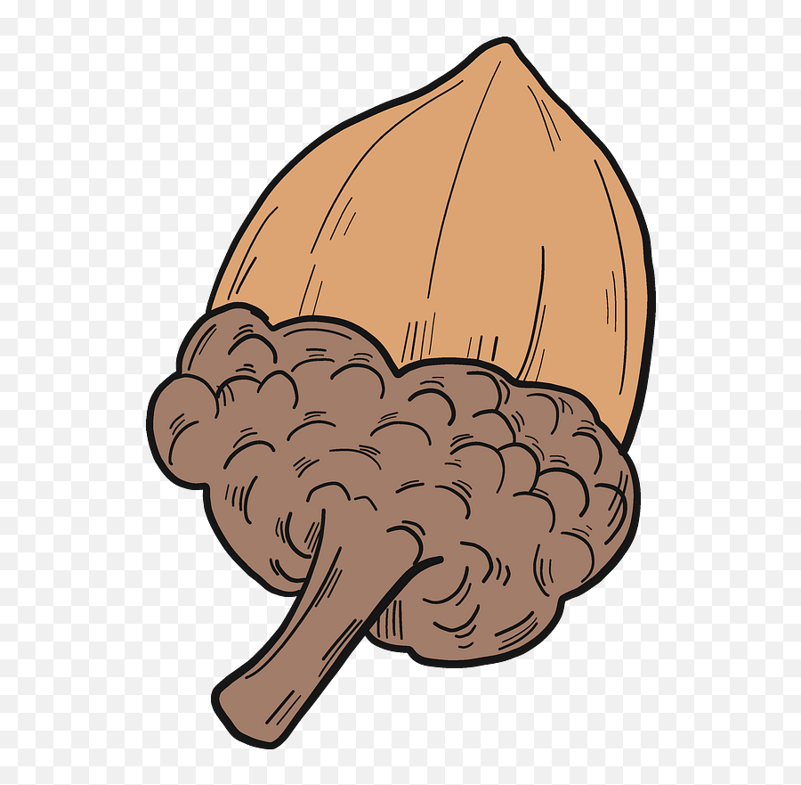 Acorn Clipart Free Download Transparent Png Creazilla - Fresh,Acorn Png