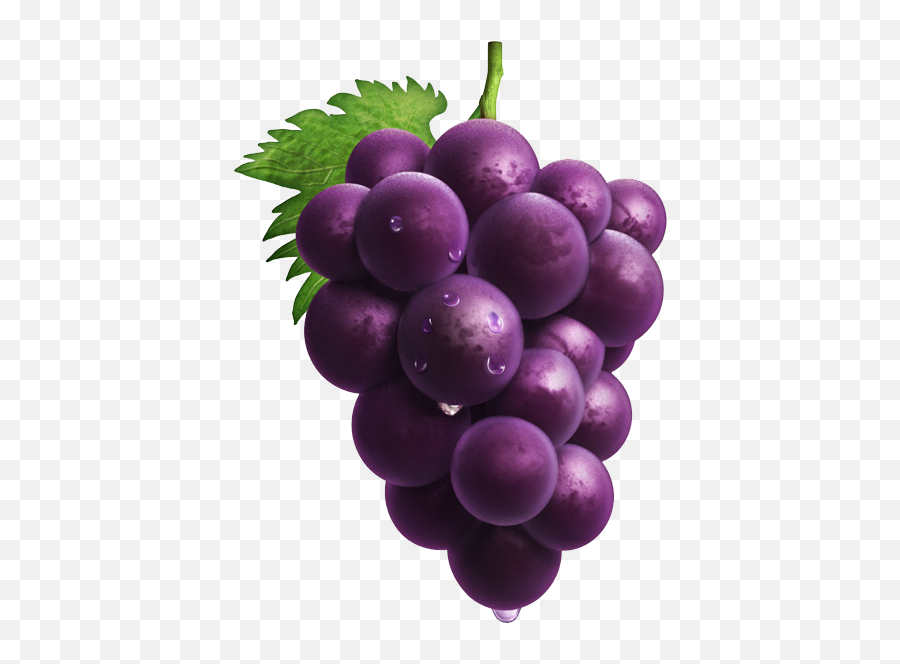 Grape - Purple Grapes Png,Grapes Transparent