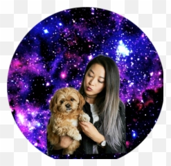 Ardencho Sticker - Cavachon Png,Arden Cho Png