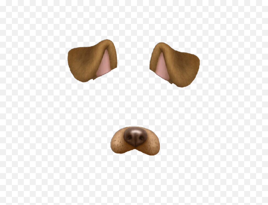 Download Dog Puppy Snapchat Cat We Heart It - Snapchat Dog Snapchat Dog Filter Name Png,Snapchat Heart Filter Png