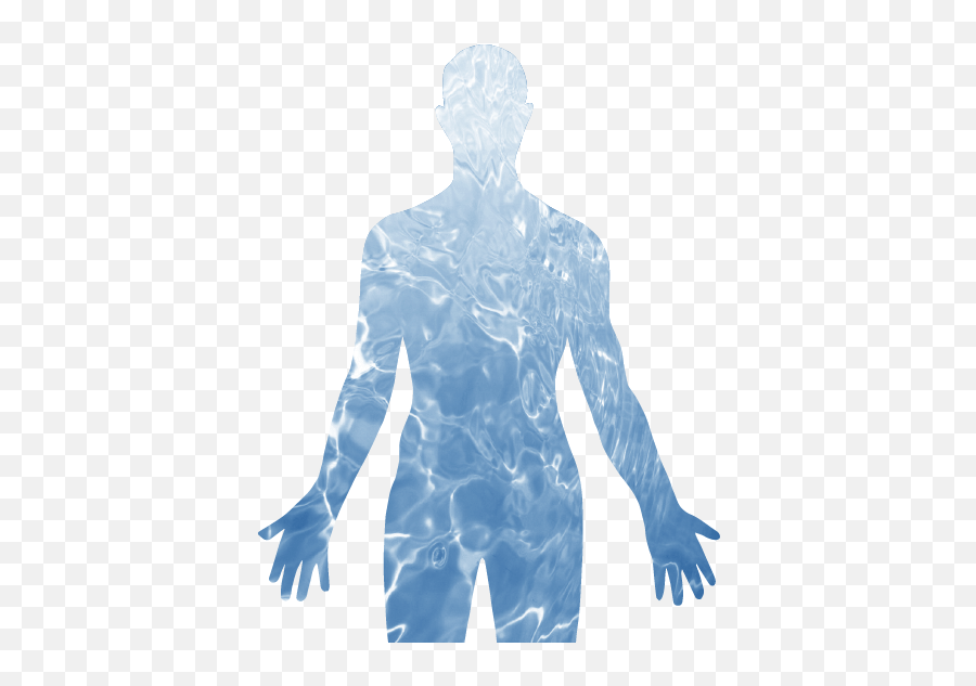 Download Hd The Human Body Is Primarily Composed Of Water - Water Human Body Transparent Png,Water Png