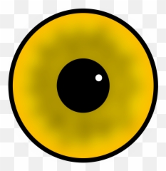 Big Cartoon Eyes Eyeball Clipart Injury Pencil And - Circle png