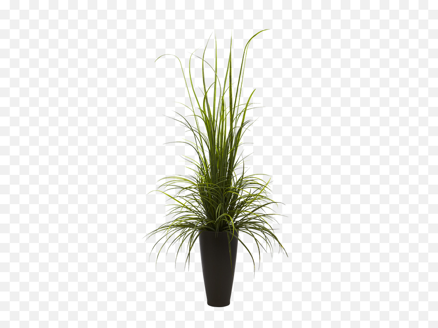 Plant Vase Png 3 Image - Transparent Floor Plant,Vase Png