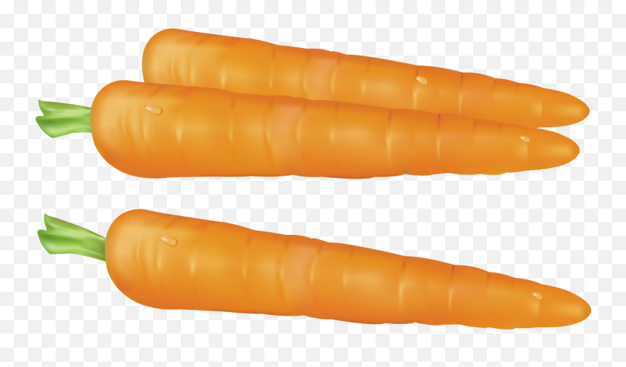 Download Hd Carrots Png Gallery - Carrots Png Clipart,Carrot Transparent Background