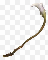 Download Lure Weed - Fallout 4 Lure Weed Png,Algae Png