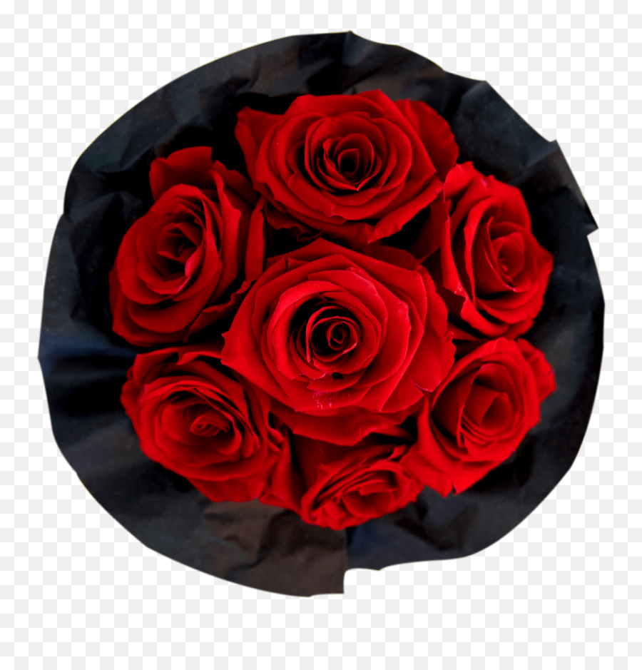 Red Bouquet - Floribunda Png,Bouquet Png