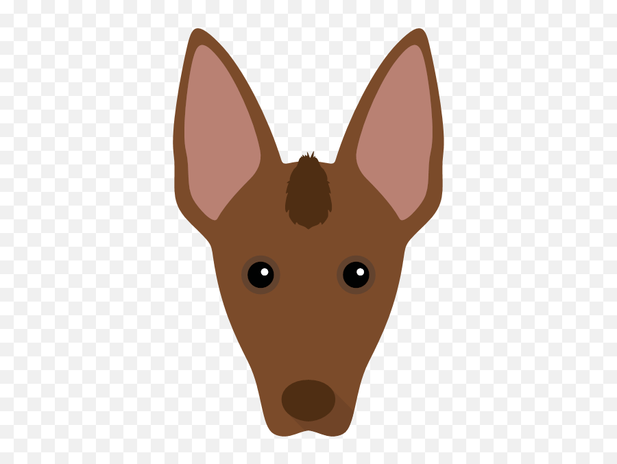 Create A Tailor - Made Shop Just For Your Mexican Hairless Dog Png,Cute Kangaroo Icon Silhouette