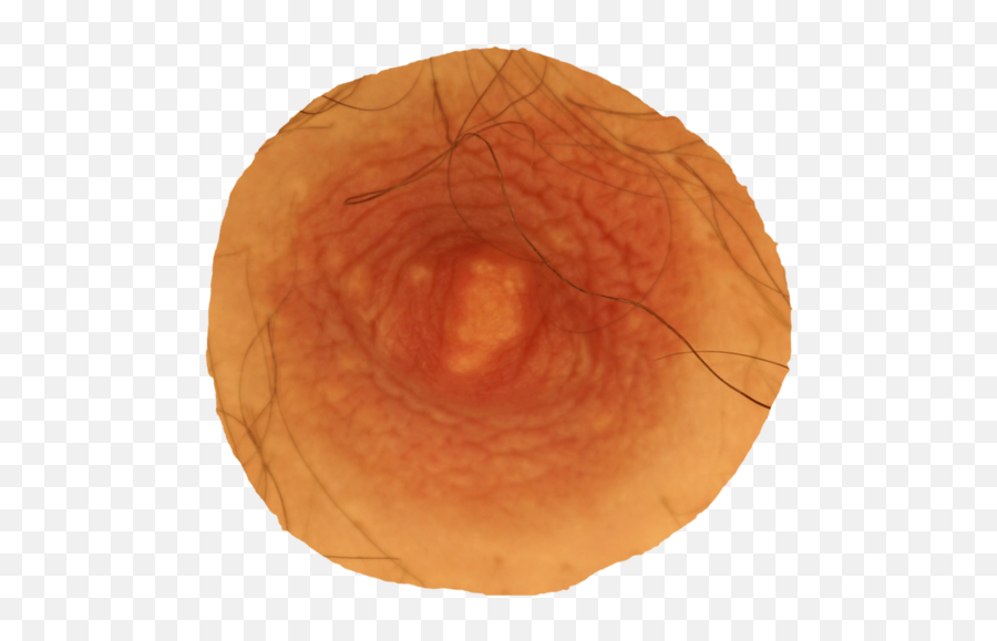 For Pizza - Fruit Png,Nipples Png