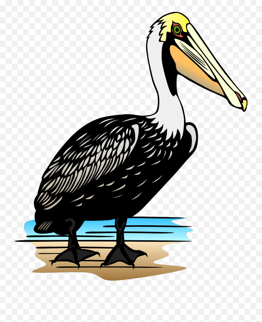 Pelican Svg Clip Arts Download - Pelican Vector Png,Pelican Png