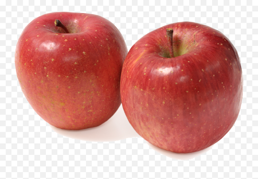 Apple Download No - Two Apples Png Download 29221993 Two Apples Png,Apples Png