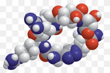 Indimolecular - Protein Png,Molecule Png