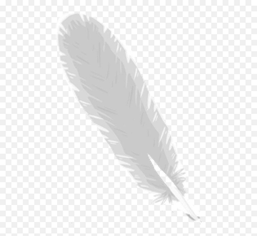 Feather Logo Png Image Download Images - Bird,Feather Logo