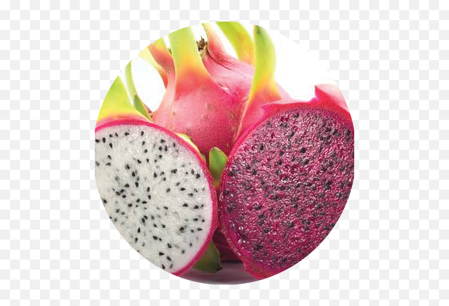 Pitaya - Pitaia Branca E Roxa Png,Dragonfruit Png