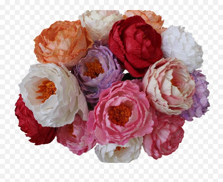 Perfect Peonies - Rosa Centifolia Png,Peonies Png