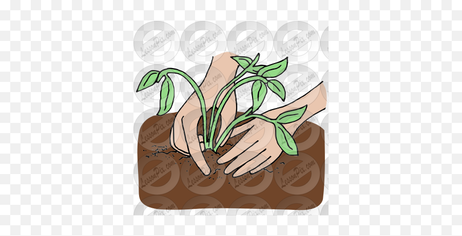 Planting Picture For Classroom Therapy Use - Great Illustration Png,Planting Png