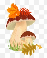 Fall Mushrooms Png Picture Board - Autumn Mushrooms Clipart,Toadstool Png