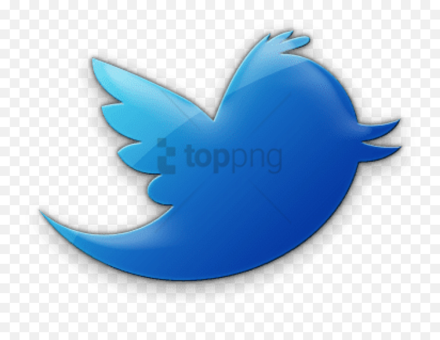 9 Transparent Twitter Logo Icon Images - Social Media Icon Jelly Png,Twitter Bird Transparent