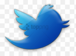 9 Transparent Twitter Logo Icon Images - Social Media Jelly png