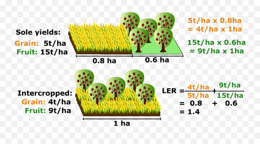 Fileland Equivalent Ratiopng - Wikimedia Commons Land Equivalent Ratio In Intercropping,Crops Png