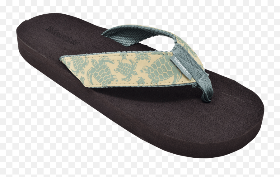 Natural Turtle - Sea Turtle Flip Flops Png,Flip Flop Png