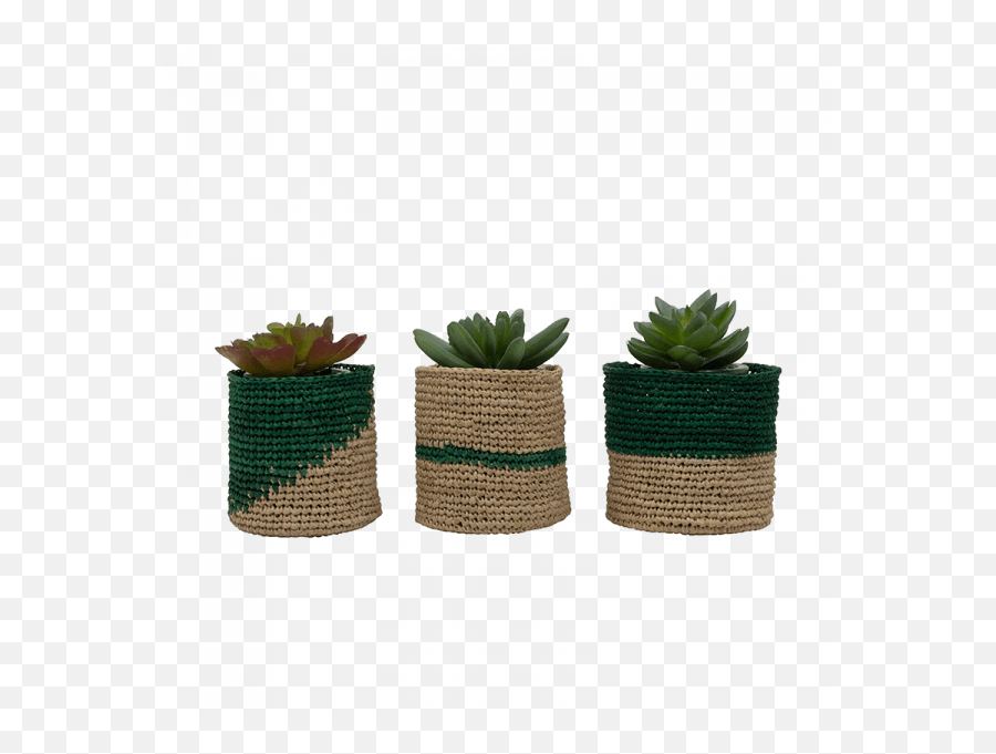 Shop Green Mini Planter Baskets Set Of 3 Online Maison Flaneur - Flowerpot Png,Planter Png