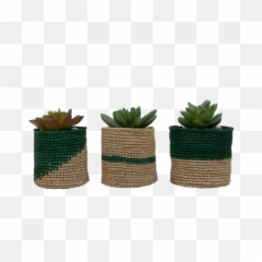 Shop Green Mini Planter Baskets Set Of 3 Online Maison Flaneur - Flowerpot Png,Planter Png