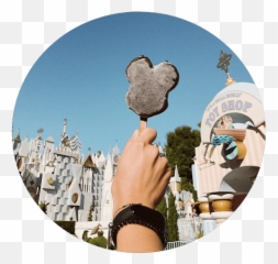 Disneyland - Park png