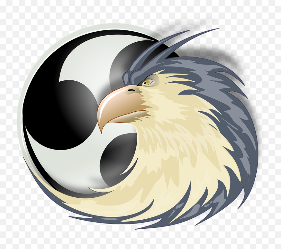 Eagle Raptor Bird Of Prey - Free Vector Graphic On Pixabay Aguia De Rapina Desenho Png,Raptor Png