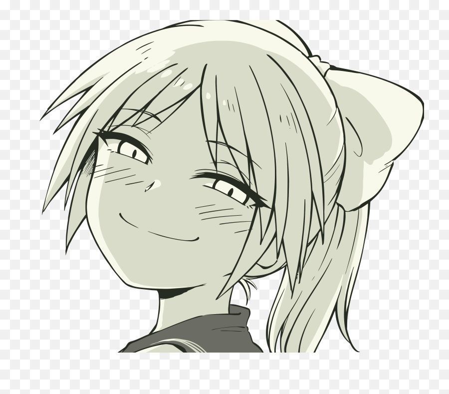 Smug Heterosexual face.png, Smug Anime Face