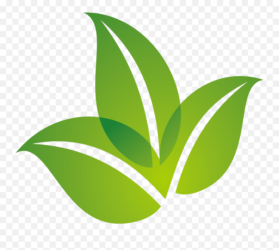 Green Leaf Logo Design Png Download - Transparent Green Leaf Logo,Leaf Transparent Background