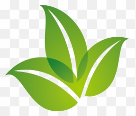 Green Leaf Logo Design Png Download - Transparent