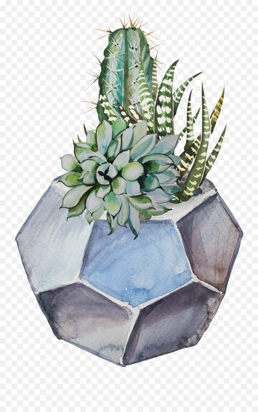 Download Hand Painted Fresh Plant Potted Transparent - Potted Plants Painting Png,Cactus Transparent Background