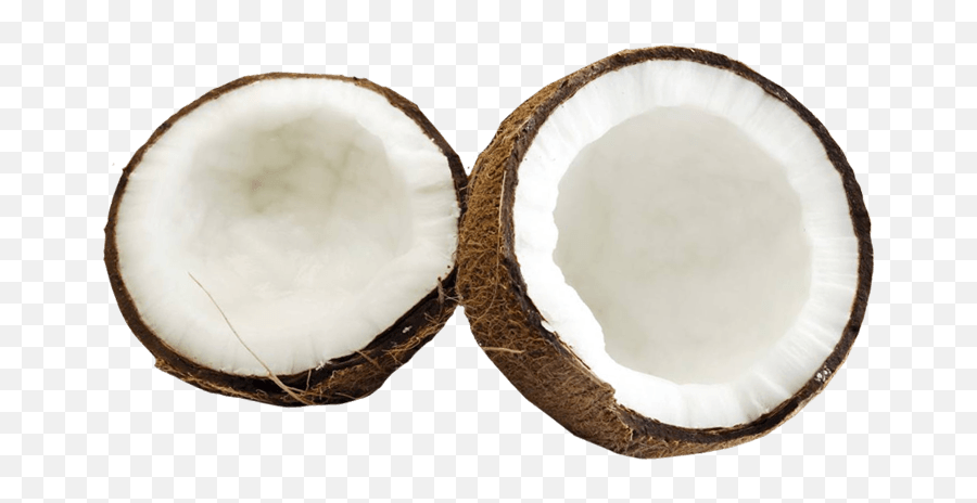 Coconut Png Image Without Background - Coconut Meat Png,Coconut Transparent