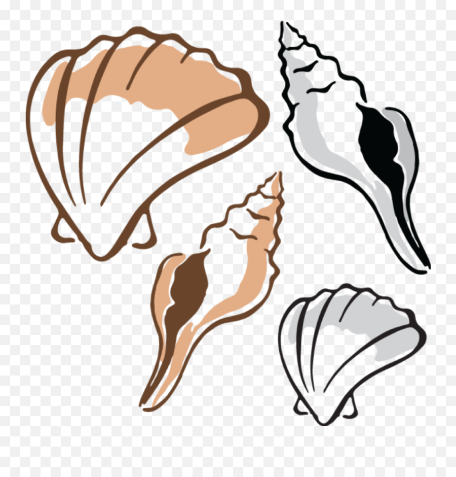 Clam Clipart - Clipart Shells Png Download Full Size Fish And Shell Clipart,Clam Png