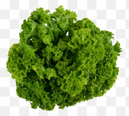 Download Lettuce Transparent Png Image - Collard Greens Cooking Leaves