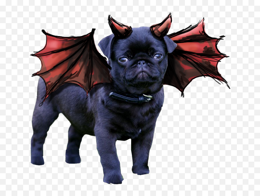 Transparent Pugs Animals Bulldog - Satanic Pug Png,Pug Transparent