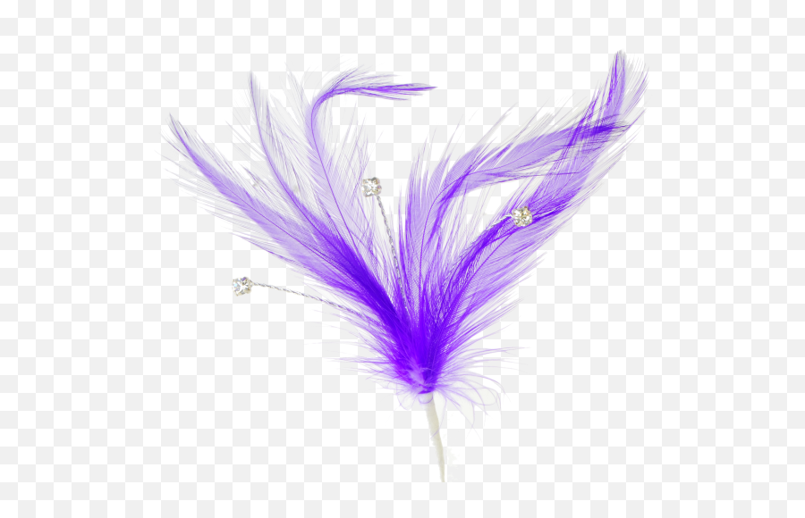 Single Peacock Feathers Png Download - Flutters Feathers Animal Product,Feathers Png