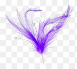Single Peacock Feathers Png Download - Flutters Feathers Animal Product,Feathers Png