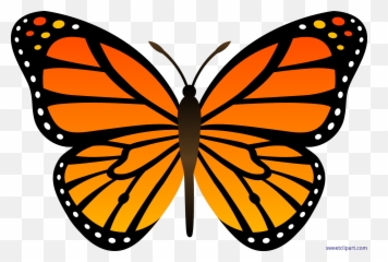 52 Butterflies Orang Free Butterfly Clip Art Clipartlook - Easy Monarch Butterfly Drawing Png,Orang Png