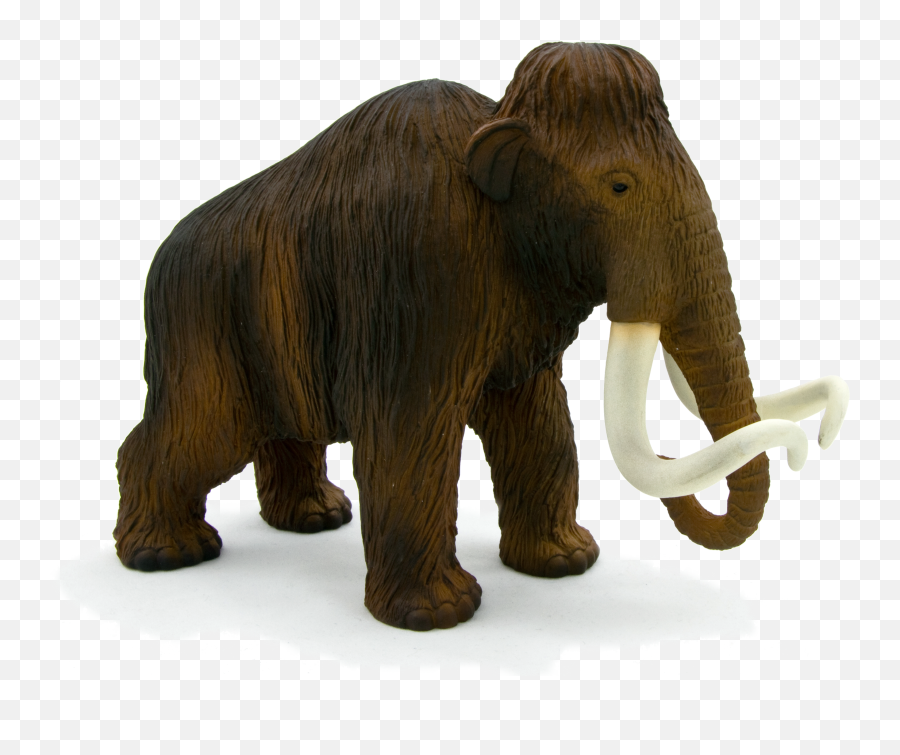 Download Animal Planet Wooly Mammoth - Full Size Png Image Mojo Woolly Mammoth,Animal Planet Logo Png
