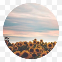 Who Forget You Quotes Transparent Png - Relaxing Photography