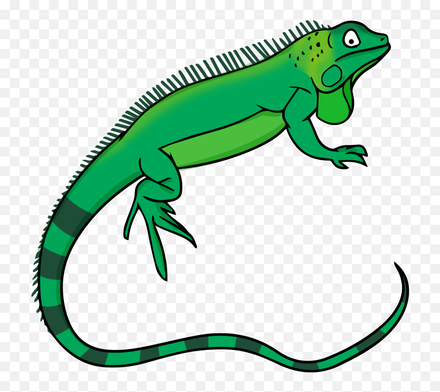 Library Of Reptile Graphic Freeuse Downloads Png Files - Reptile Clipart,Lizard Transparent Background