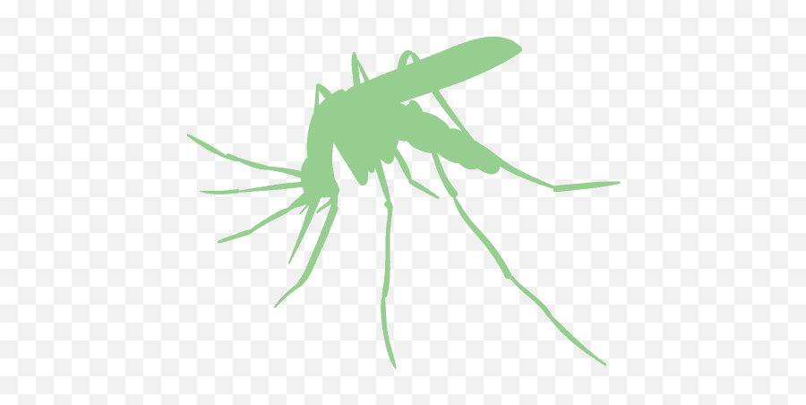 Bug Database - Killum Pest Control Parasitism Png,Mozzie Icon