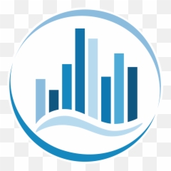 Data Solutions International - Vertical png